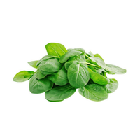 Folic acid an important mineral for women in perimenopause and menopause