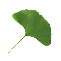 Ginkgo Biloba Menopause Shake