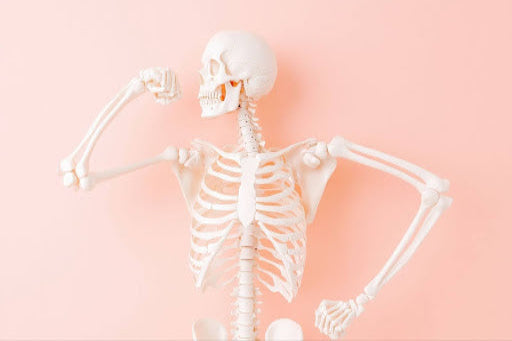 how you can help improve your bone health in menopause with our menopause shake