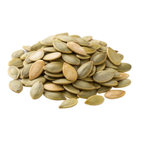 plant protein pumpkin seed menopause shake